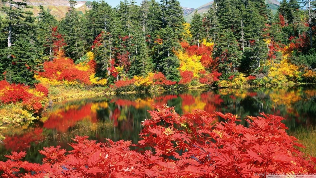 Autumn, Japan HD Desktop Wallpapers : Widescreen : High Definition ...