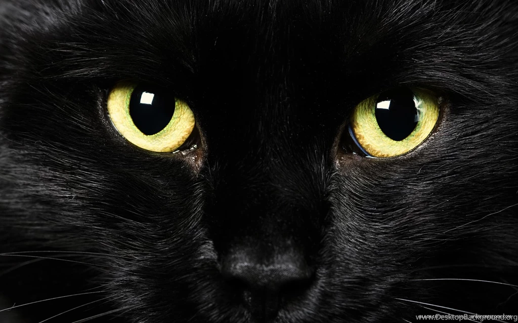 15 Amazing Free, High Resolution Wallpaper Images