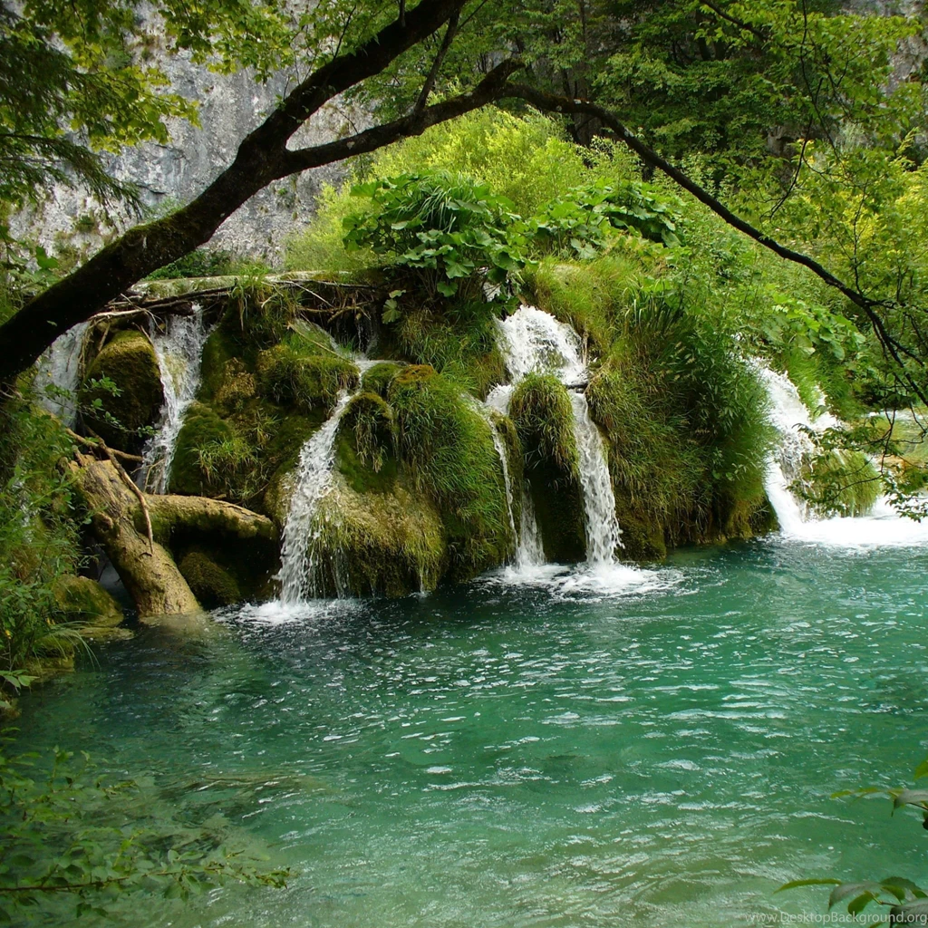 Download Wallpapers 2048x2048 River, Trees, Nature New iPad Air, 4 ...