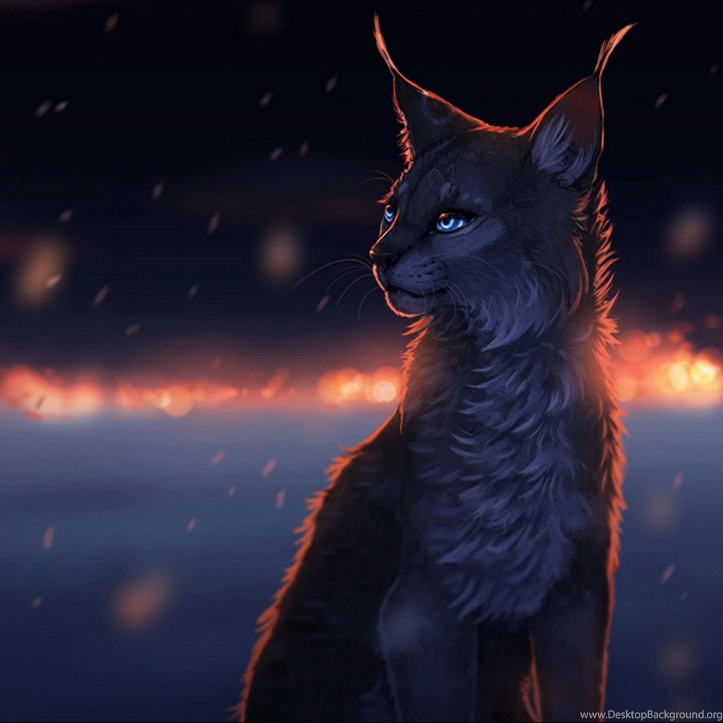 New ipad wallpaper hd 2048×2048 2123