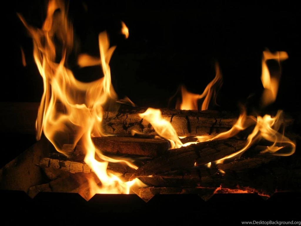Fire Flame Bonfire Firewood Coal Tree Black Backgrounds Texture ...