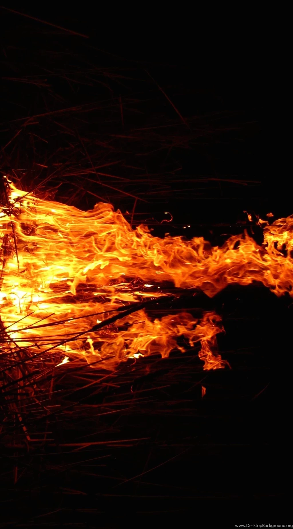 Bonfire Flame Orange Black