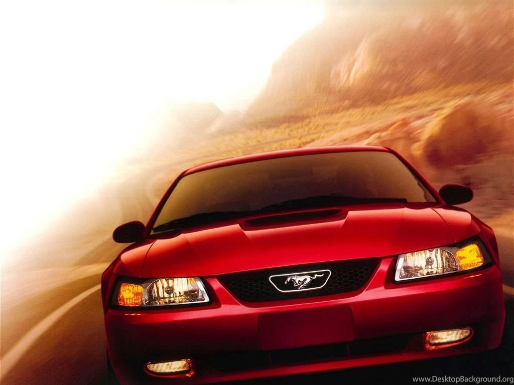 My Fav Cars