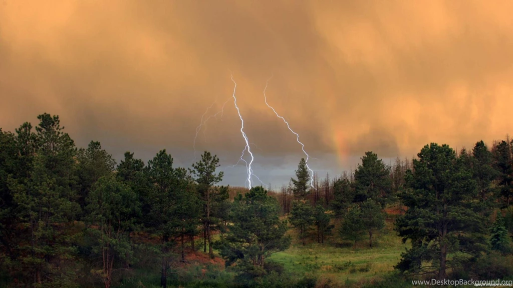 Storm, Summer, Images, Wallpapers, Forest (