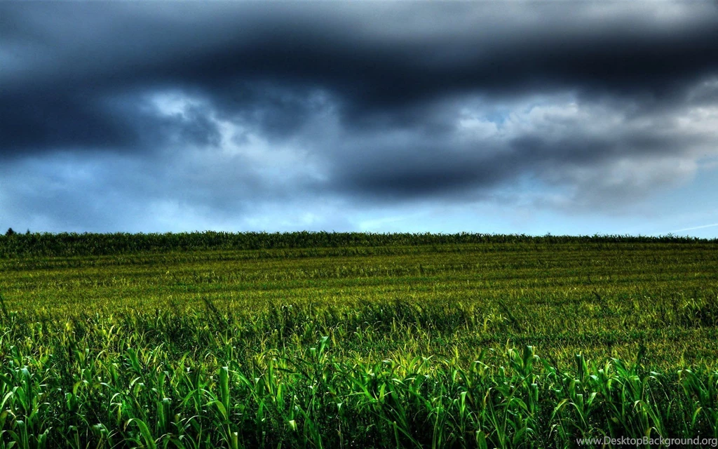 Wallpaper, Storm, Before, Sky, Desktop (