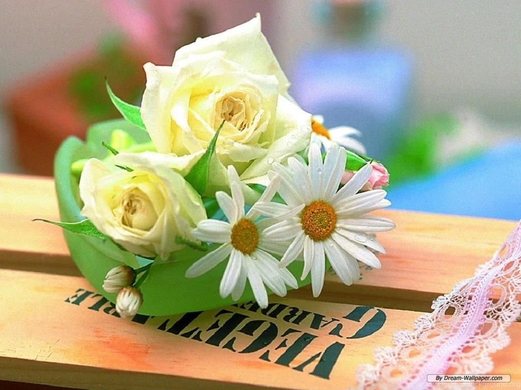 Free Wallpapers Free Flower Wallpapers Valentine Rose Wallpapers ...
