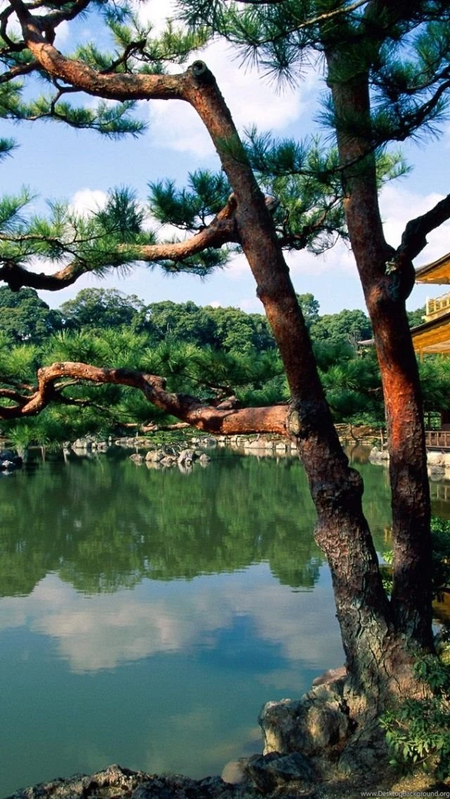 Japan Architecture iPhone 5 Wallpapers