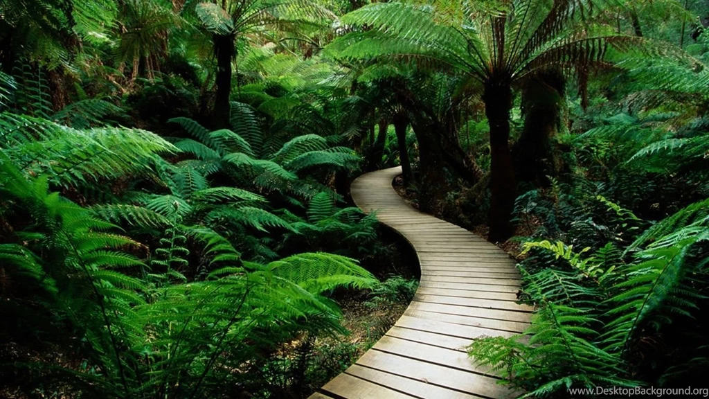 1366x768 Green Nature Desktop PC And Mac Wallpapers