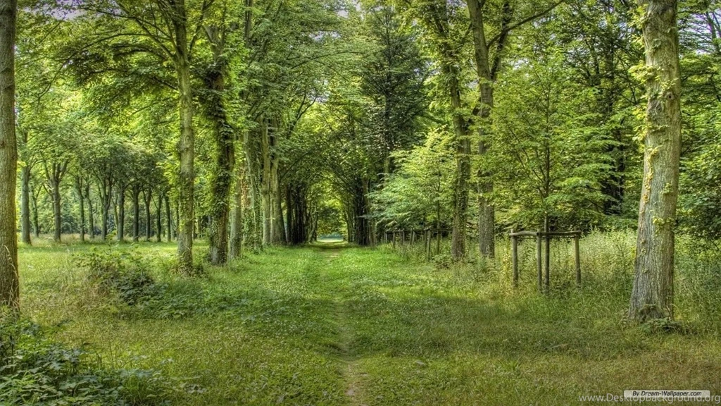 Free Wallpapers   Free Nature Wallpapers   PS Landscape 2 Wallpapers ...