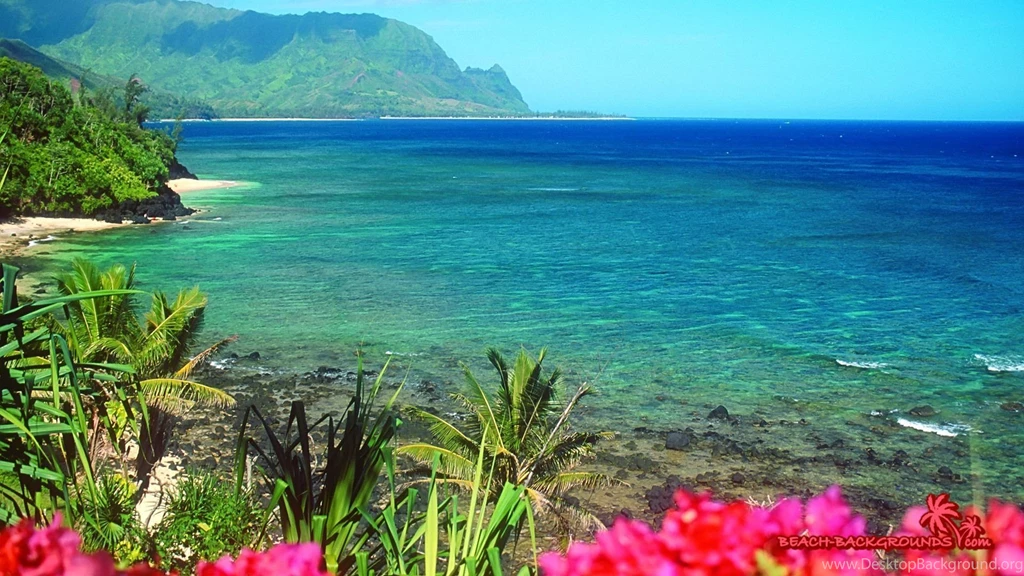 Nature Wallpapers 1366X768 1773875