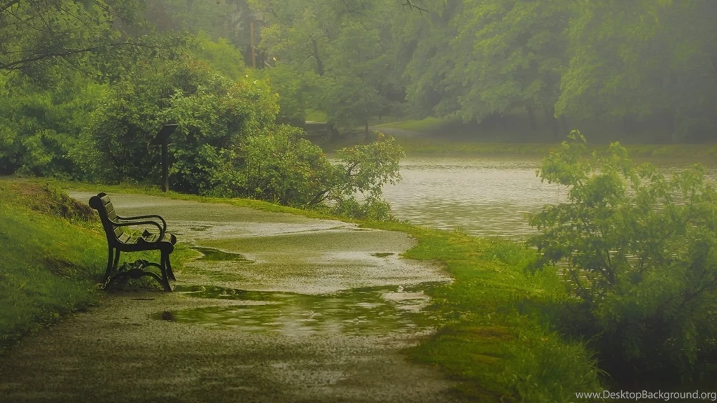1366x768 Nature Rain Park Bench Wallpapers