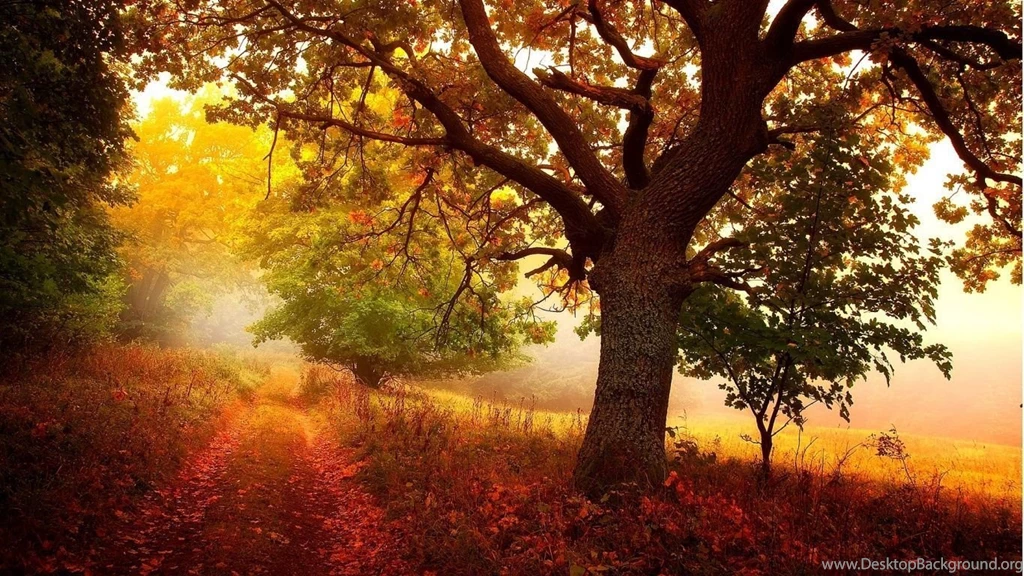 1366x768 Nature In Autumn Wallpapers