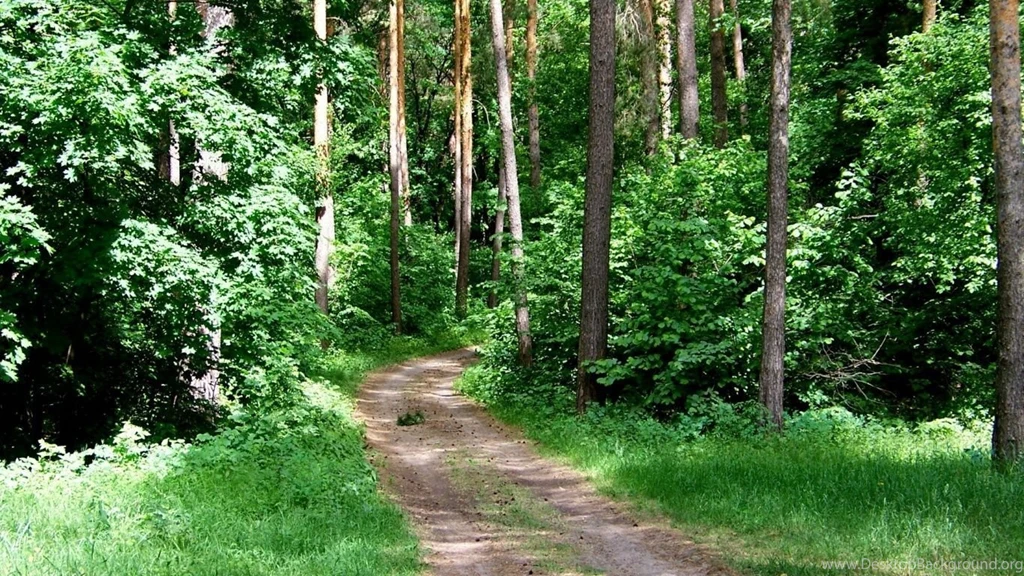 1366x768 Nature Desktop PC And Mac Wallpapers