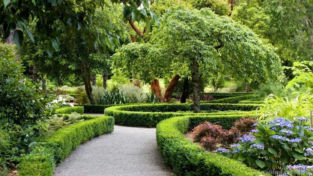 Download Wallpapers 1366x768 Park, New Zealand, Landscape ...