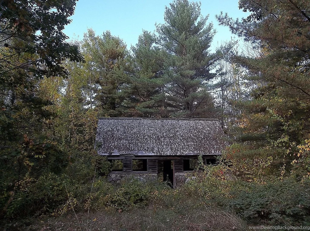 Houses: Abandoned House Autumn Sky Trees Fall Woods Desktop ...