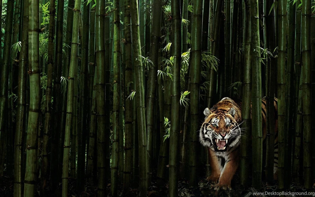 Mac Tiger Wallpapers