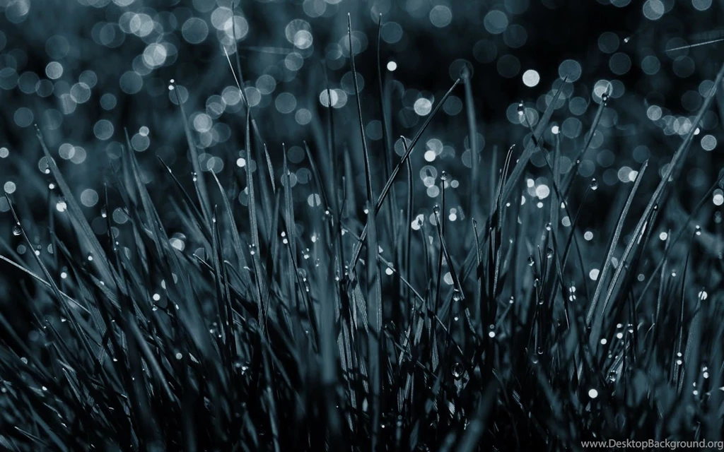 Dark Rainy Day Hd Desktop Wallpapers High Definition Fullscreen ...