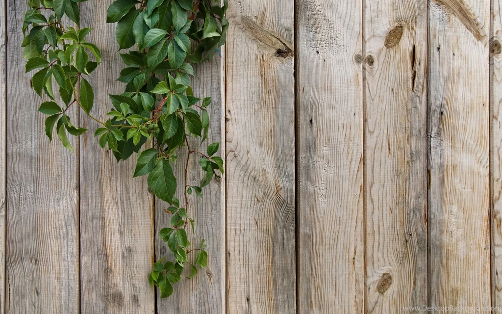 Wood Wallpapers, Desktop Wallpapers » GoodWP.com