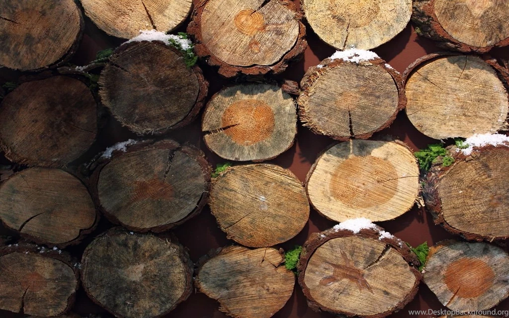 Wood Wallpapers
