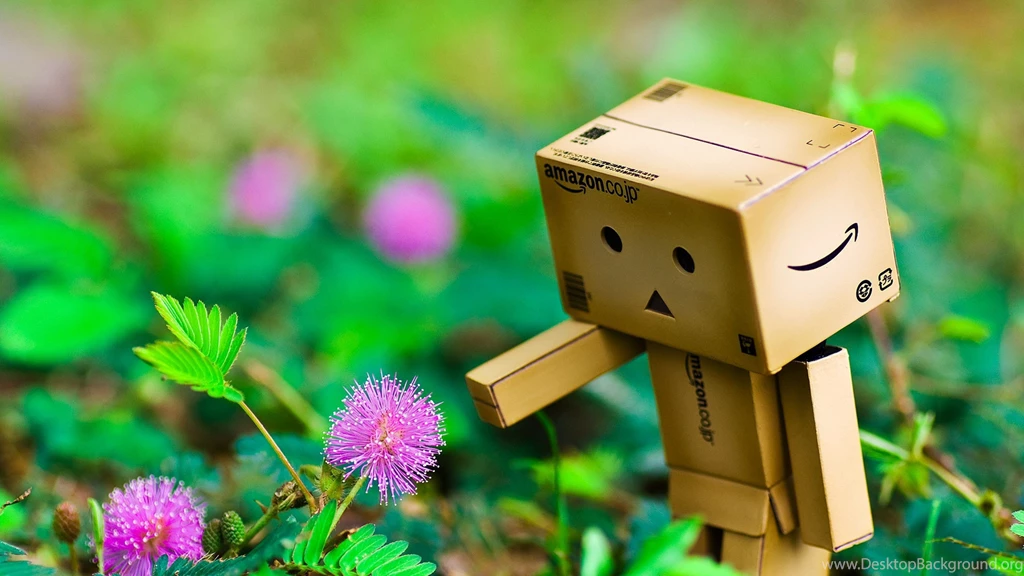 Download Wallpapers 3840x2160 Danboard, Flowers, Walk, Nature 4K ...