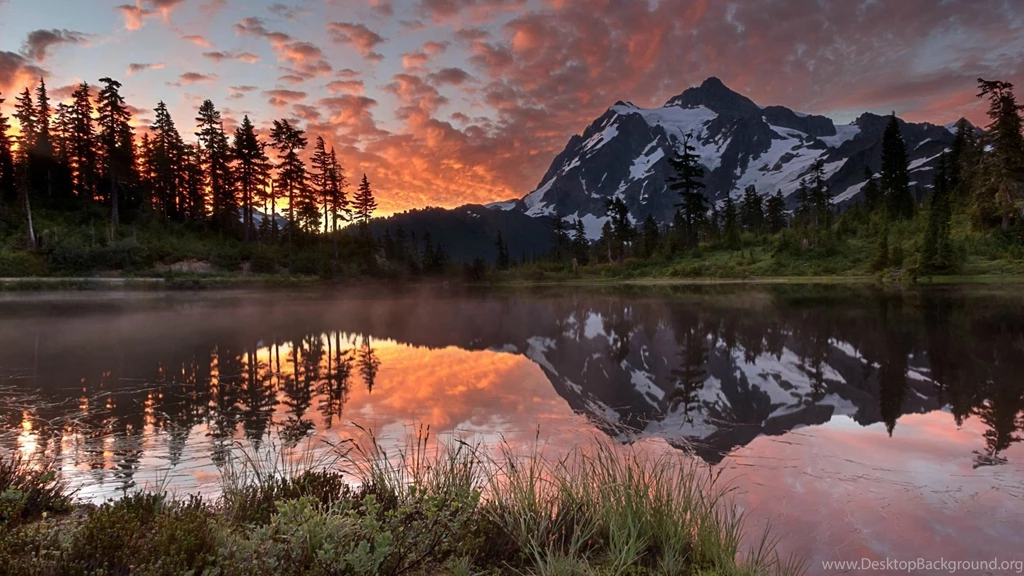 Nature Wallpaper 105.jpg