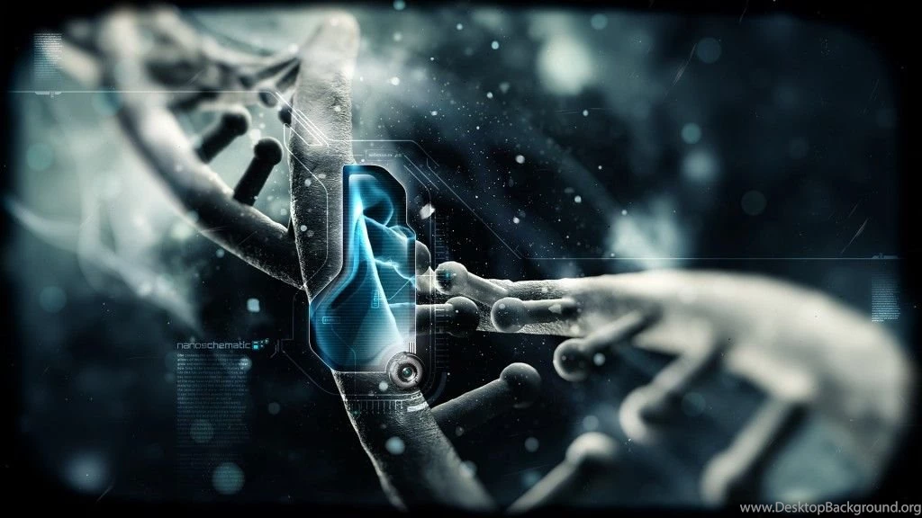 HD Quality Cool 3D HD 7 Wallpapers Desktop SiWallpapers 2260