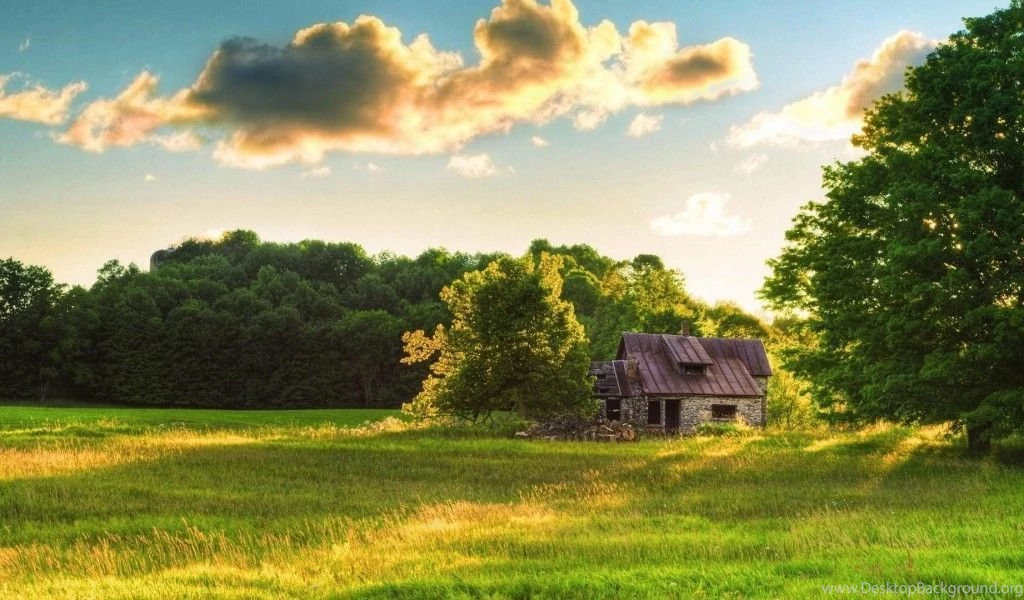 Windows 8 Nature Wallpapers Hd 1080p