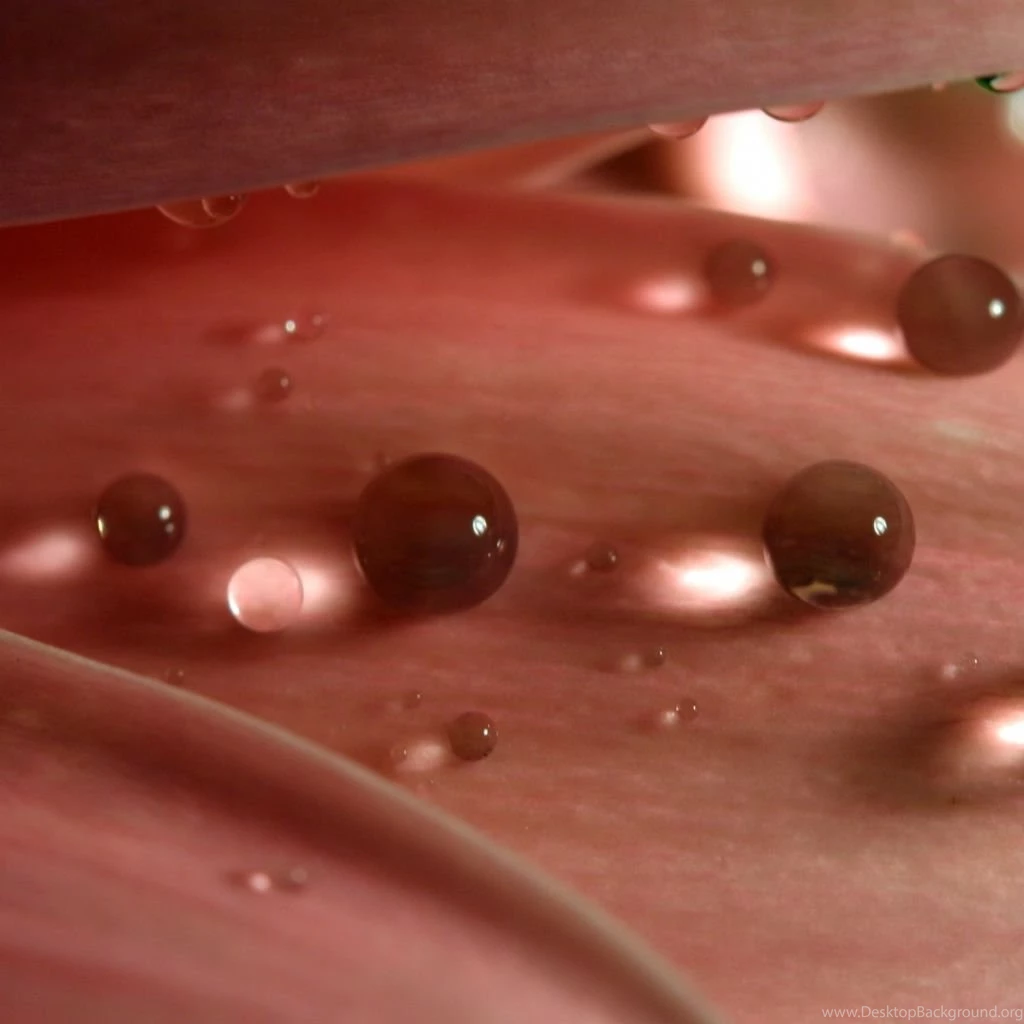 Water Pearls iPad Wallpapers Download