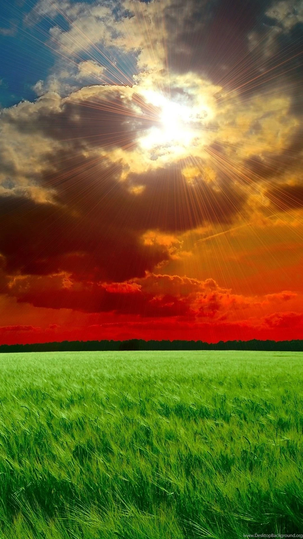 Wallpapers For Android Phone High Definition