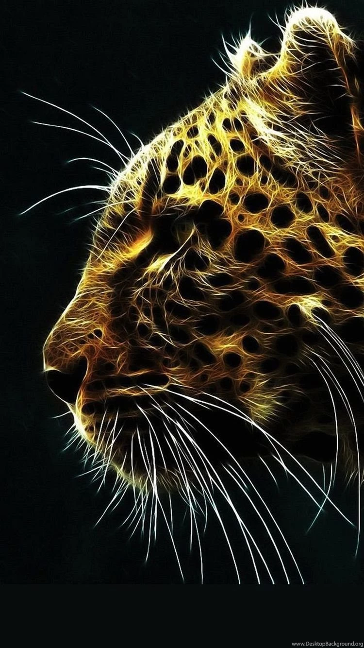 iPhone 6 Plus Wallpapers