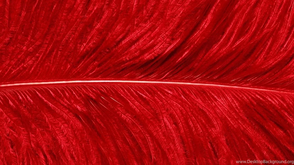Desktop Wallpapers · Gallery · HD Notebook · Red Feather Laptops ...