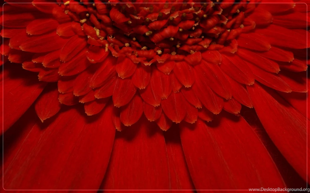 Cool Red Desktop Backgrounds HD 1920x1200