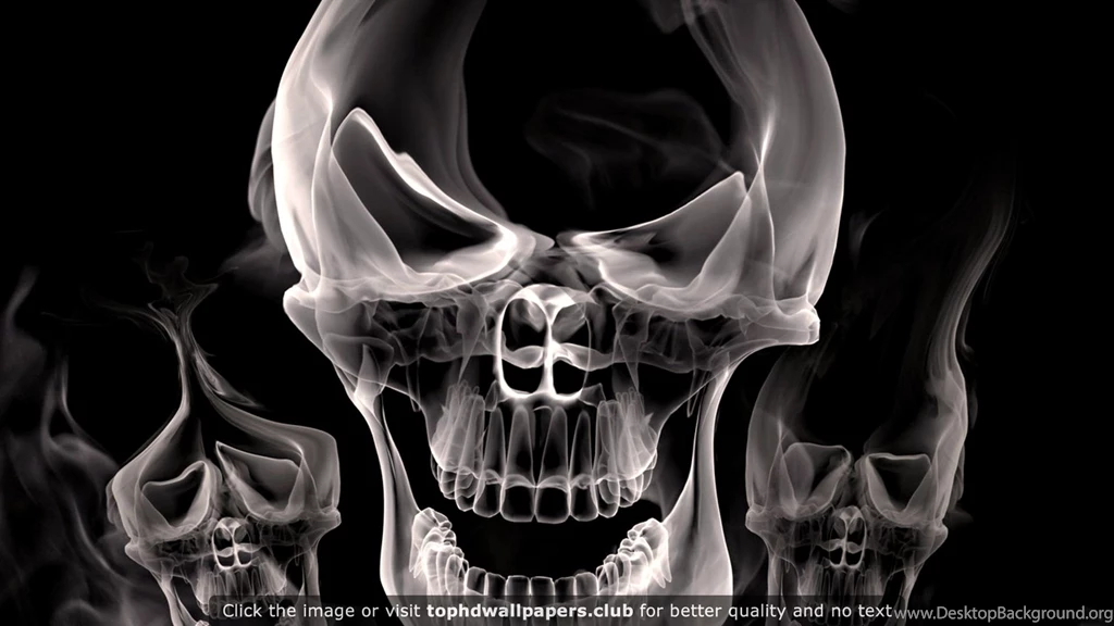 Best Skull Wallpapers For Your PC, Mac Or Mobile Device