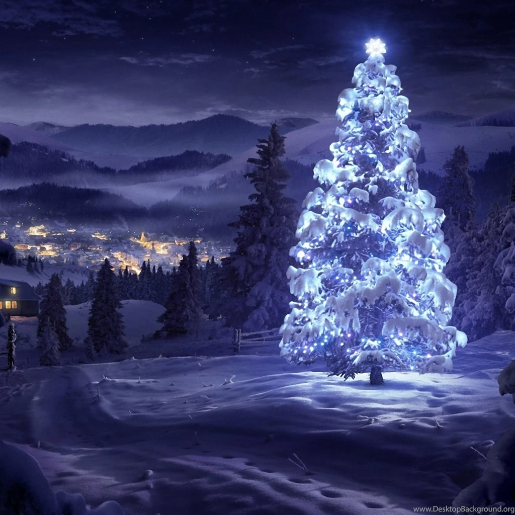 White Christmas tree in the nature HD snowy wallpaper_2524x2524.jpg