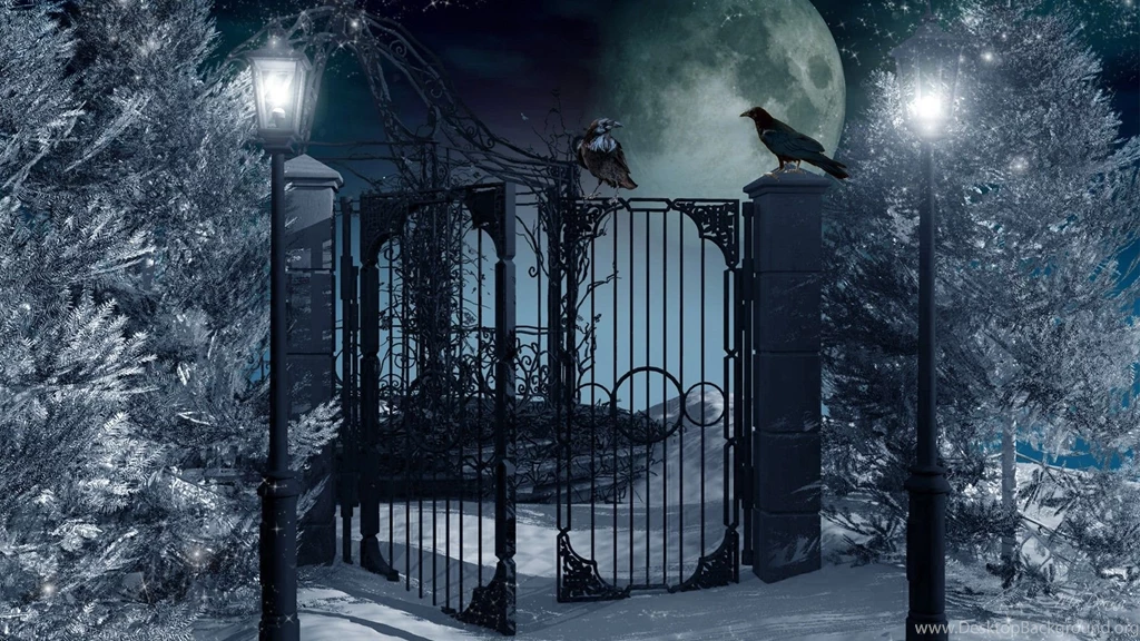 Winter Night Snowy Wallpapers Pics 3968 HD Wallpapers Site