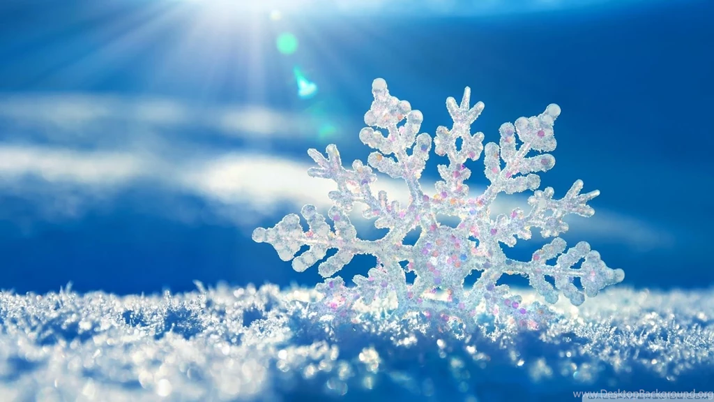 Snow Hd Wallpapers And Backgrounds Snow Hd Picture 1920x1080px High ...