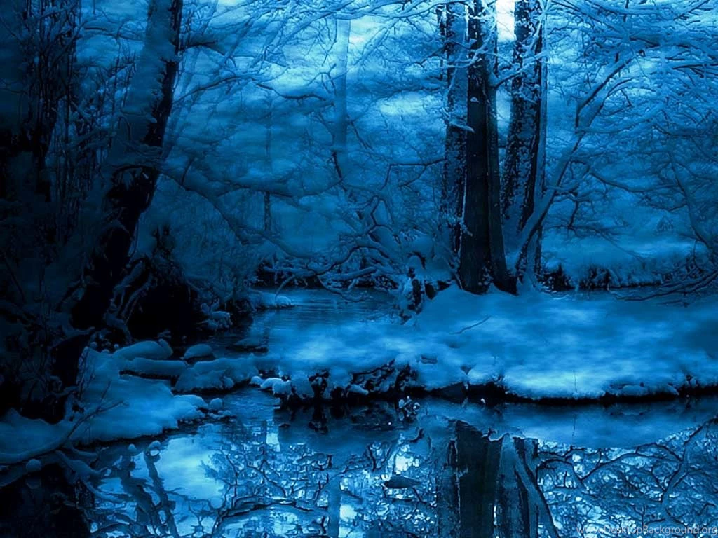 3291) Snowy Night Forest HD Wallpapers WalOps.com