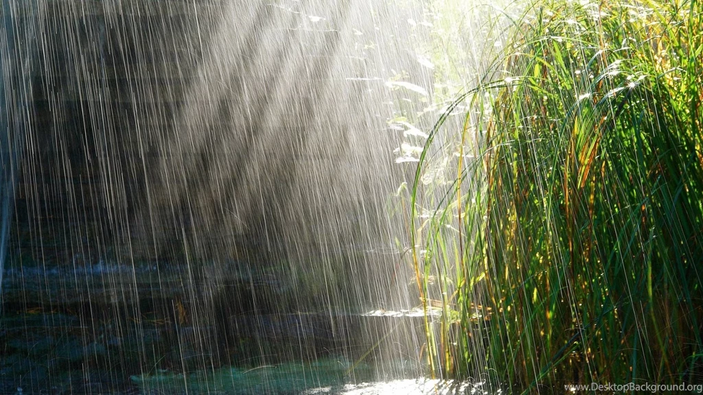Page 3: Full HD 1080p Rain Wallpapers HD, Desktop Backgrounds ...