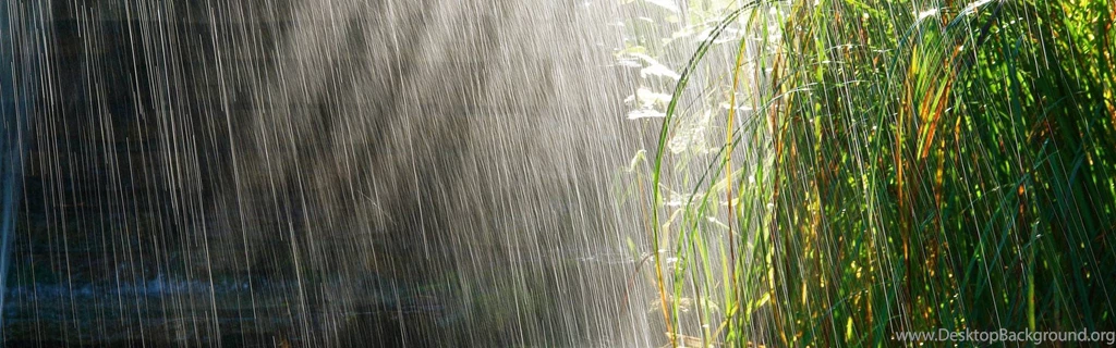 Download Wallpapers 3840x1200 Heavy Rain, Rain, Light, Bushes ...