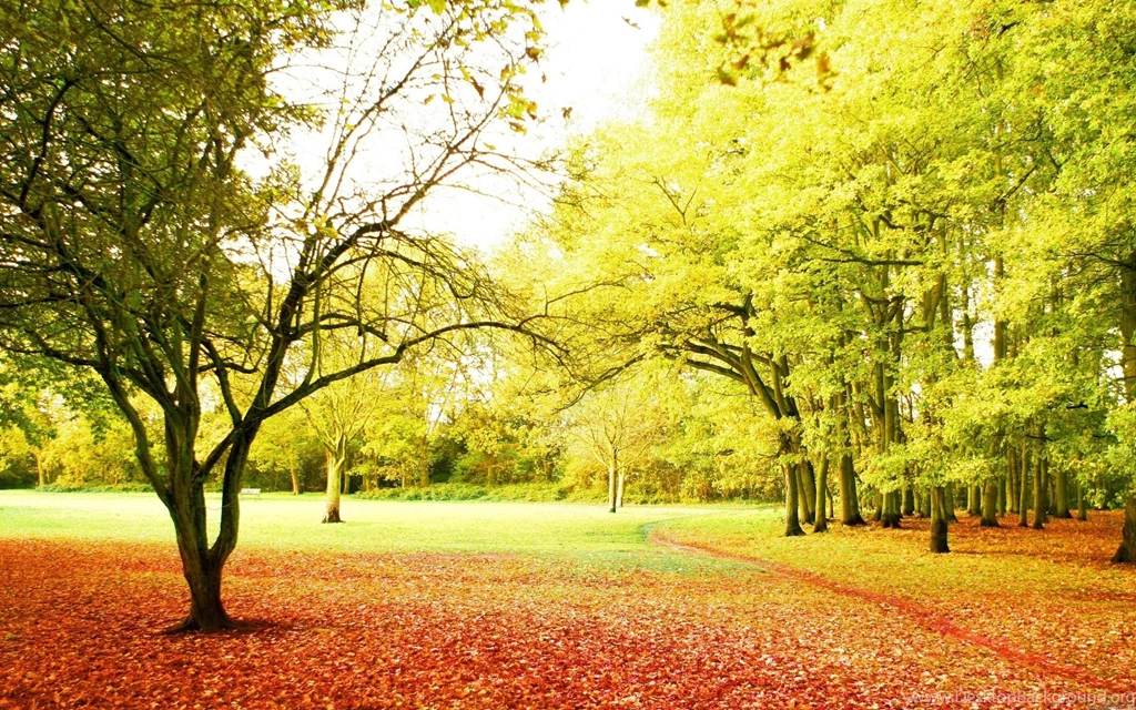 317 beautiful nature hd backgrounds Magic4Walls.com