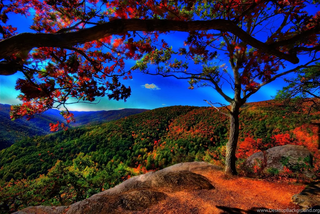Nature HD Background 4.jpg