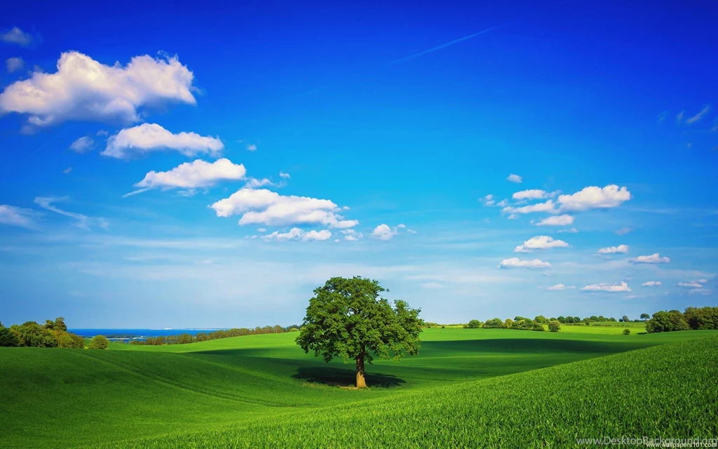 Wallpapers Nature Beauty Hd Backgrounds Wallpapers 38 Hd Wallpapers ...