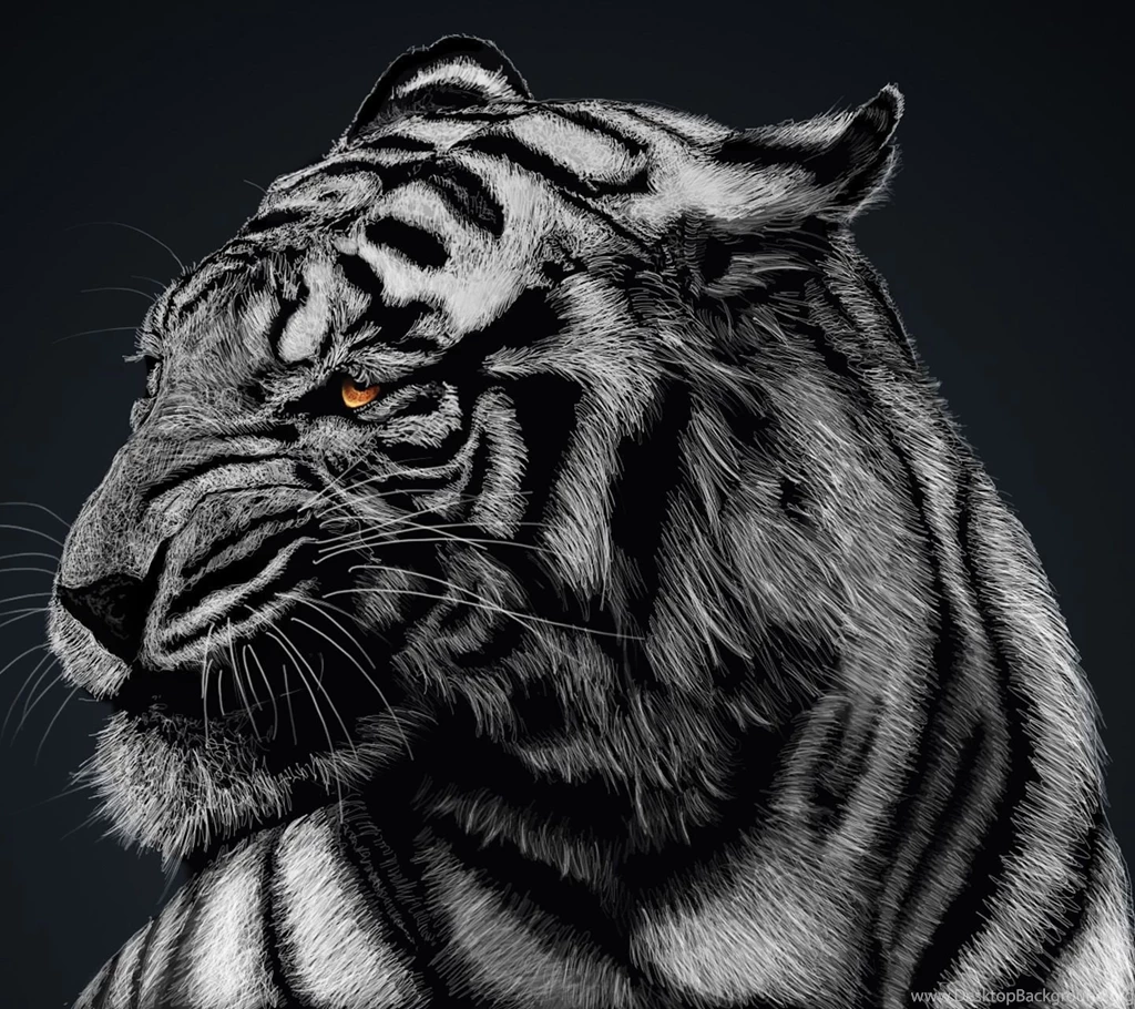 Tiger Eyes Wallpapers Hd