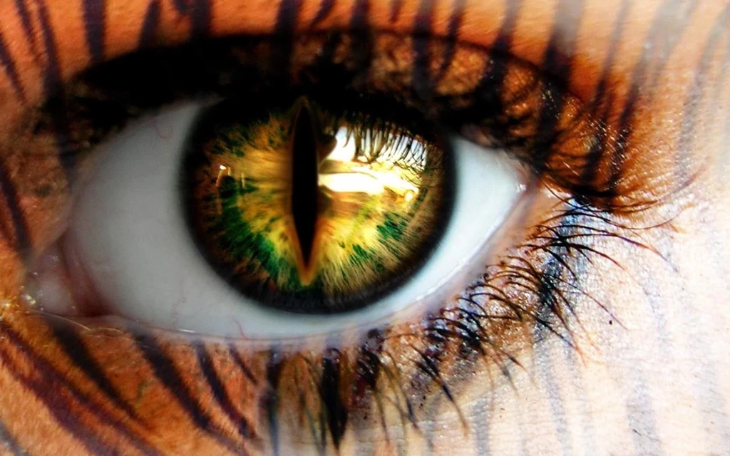 Woman Tiger Eye