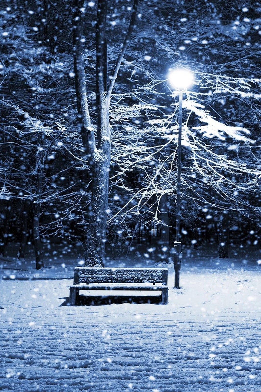 Snowy Night Iphone Wallpapers Wallpapers Photo (36316847) Fanpop