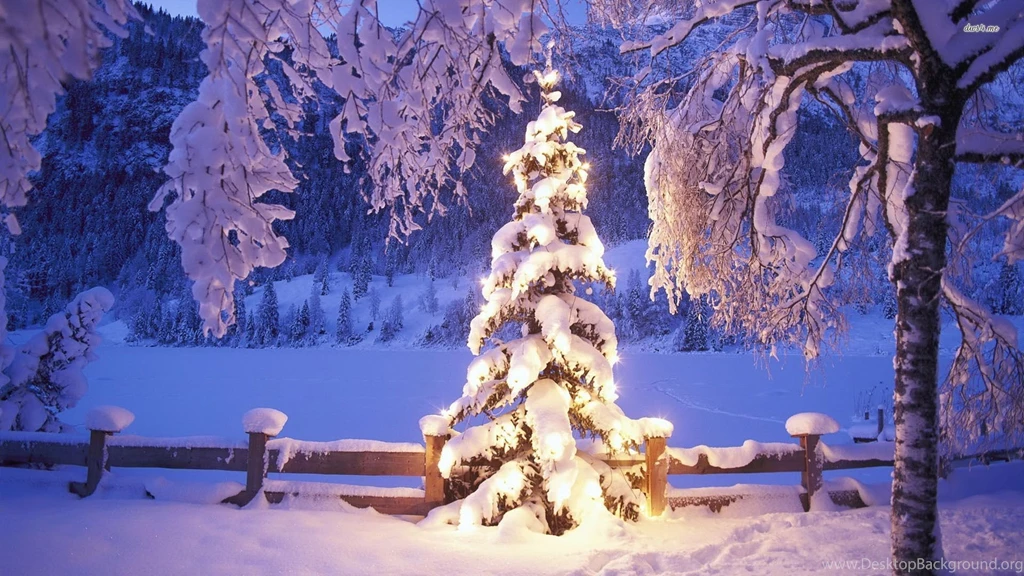 Snowy Tree Wallpapers Holiday Wallpapers