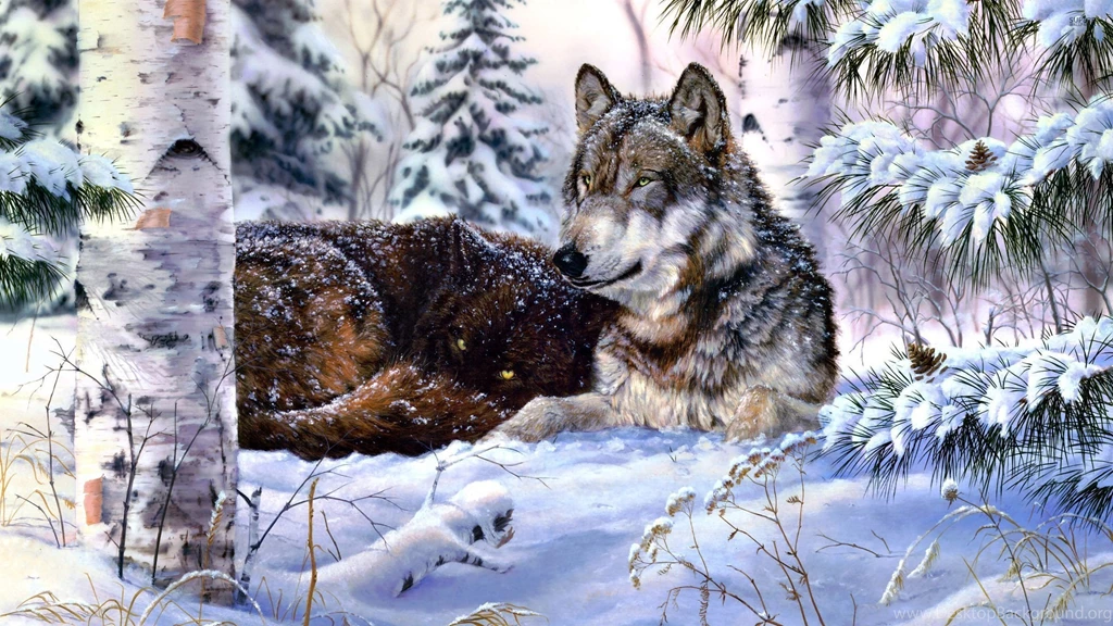 Wolf In Snow Wallpapers Digital Art Wallpapers