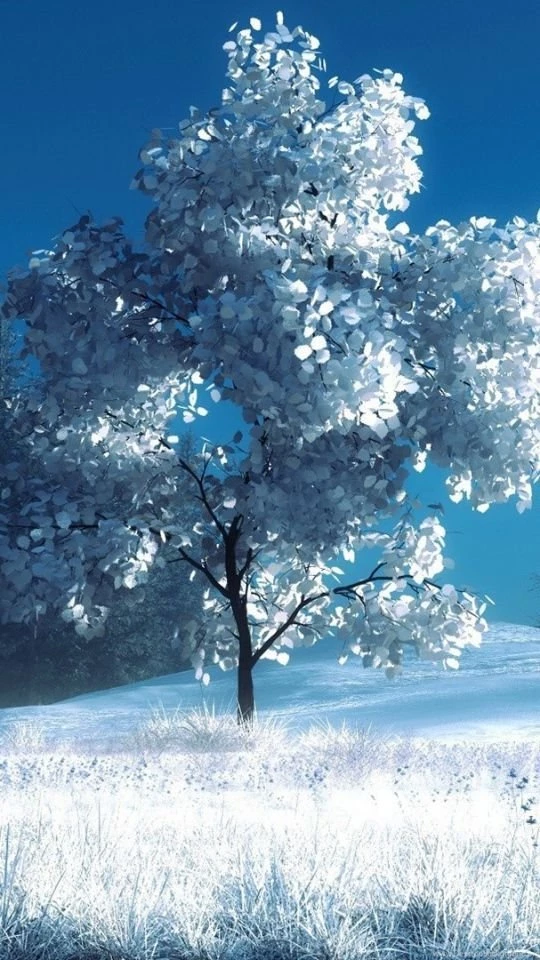 Android HTC Sensation 540x960 Winter Wallpapers HD, Desktop ...