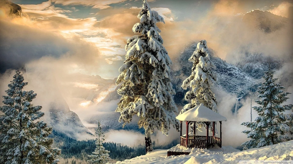 Snow Trees Witner Landscape Wallpapers HD Download