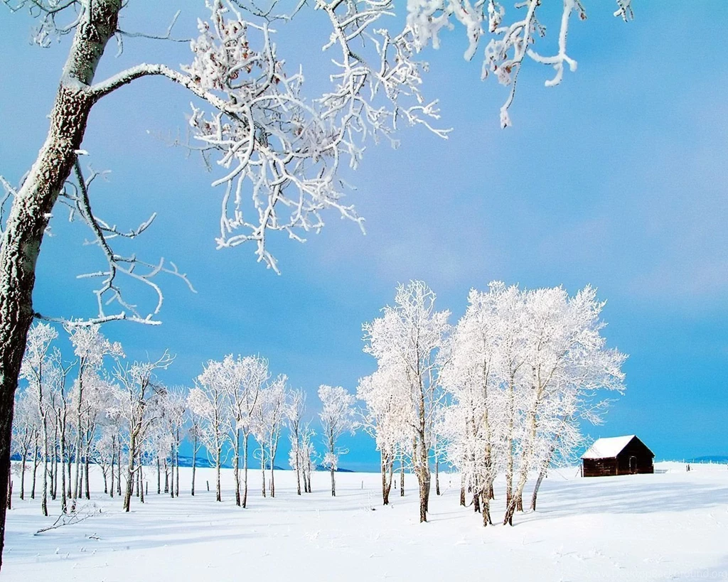 Snowy Landscape Wallpapers
